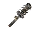 Amortiguador delantero con muelle espiral