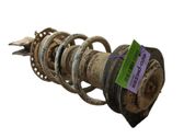 Amortiguador delantero con muelle espiral