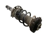 Amortiguador delantero con muelle espiral