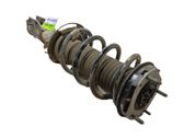 Amortiguador delantero con muelle espiral