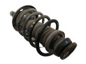 Amortiguador delantero con muelle espiral