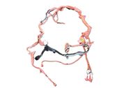 Other wiring loom