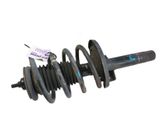Front shock absorber with coil spring