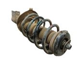 Amortiguador delantero con muelle espiral