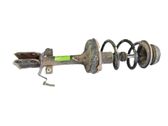 Front shock absorber with coil spring