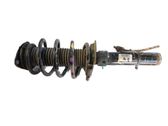 Amortiguador delantero con muelle espiral