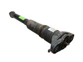 Stoßdämpfer hinten