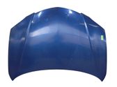 Motorhaube