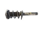 Amortiguador delantero con muelle espiral