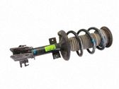 Amortiguador delantero con muelle espiral
