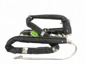 Airbag de la puerta delantera