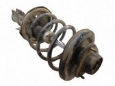 Amortiguador delantero con muelle espiral