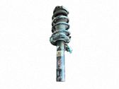 Front shock absorber with coil spring