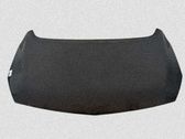 Motorhaube
