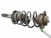 Amortiguador delantero con muelle espiral