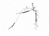 Manguera/tubo del aire acondicionado (A/C)