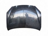 Motorhaube