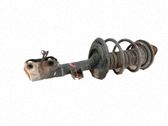 Amortiguador delantero con muelle espiral