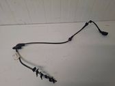 Cableado del sensor ABS trasero