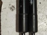 Tailgate/trunk strut/damper