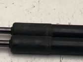 Tailgate/trunk strut/damper