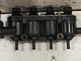 LP gas injectors set