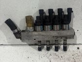 Einspritzdüsen Gasdüsen Autogasanlage Satz Set