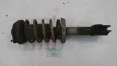 Front shock absorber/damper