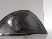Front fender indicator light
