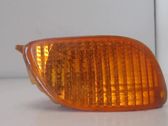 Front fender indicator light