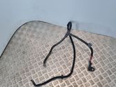 Wires (starter motor)