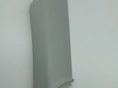 (C) pillar trim