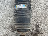 Rear air suspension bag/shock absorber