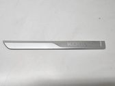 Sill/side skirt trim