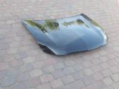Engine bonnet/hood