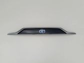 Tailgate/trunk/boot lid