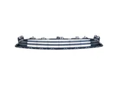 Front bumper upper radiator grill