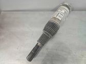 Front shock absorber/damper
