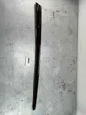 Aizmugurē durvju dekoratīvā apdare (moldings)