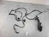 Rear door wiring loom