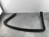 Rear door glass trim molding