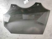 Luna de la puerta trasera