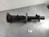 Front shock absorber/damper