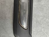 Fender trim (molding)