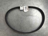 Alternator belt