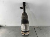 Front air suspension shock absorber