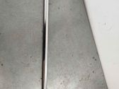Front door glass trim molding