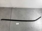 Listón embellecedor de la puerta delantera (moldura)