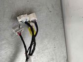 Front door wiring loom