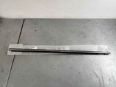 Front door glass trim molding